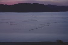풍경택배작가 김도형의 사진과 이야기 다시 찾은 순천만