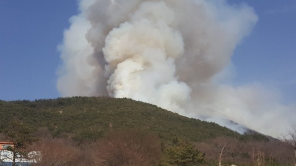 의성 대형 산불, 지역 주민 대피중…서울시 65명 소방인력 긴급 투입