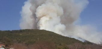 의성 산불 큰불길 잡아…잔불 진화중