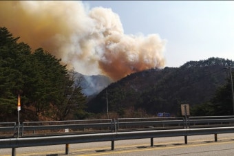 인제 상남면 산불 확산, 헬기 19대 투입 진화작업 집중