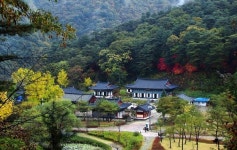 가정의 달 5월에 떠나는 홍천의 천년고찰 수타사