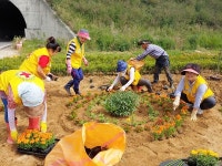 군위군 부계면, 화합의 꽃동산 조성에 지역민이 스스로 나서