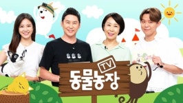 TV 동물농장 포메라이안♥보더콜리, 외눈박이 동냥냥이, 파리지앵과 누렁이 등장