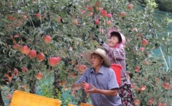 정부, 추석 10대 성수품 공급량 36% 확대 ··· 가격 평년 수준 유지