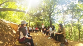 파주시 율곡수목원 산림치유프로그램 인기