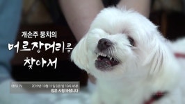 EBS 세상에 나쁜 개는 없다 버르장머리 없는 노인공격견…설채현의 특급 솔루션 통할까