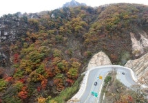 가을 나들이 전세버스 주의하세요...교통안전공단, 가을철 전세버스 합동 안전점검