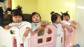 인간극장 네쌍둥이 출산 김정화·홍광기 부부, 부모님과 헤쳐모여 육아