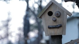 EBS 한국기행 스님과 동물 친구들…5대 적멸보궁 법흥사 삼보스님과 5살犬 보리