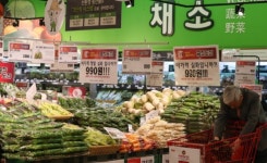 1월 소비자물가 1.5% 상승 ... 13개월 만에 0%대 저물가 탈출