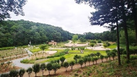 홍천군, 송학 무장애나눔길 조성