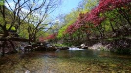 [영상앨범 산] 호남의 작은 금강산 순창 강천산, 정상 서면 지리산·내장산 한눈에