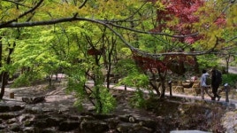 [영상앨범 산] 호남의 작은 금강산 순창 강천산, 정상 서면 지리산·내장산 한눈에