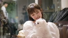 [세상에 나쁜 개는 없다] 오마이걸 아린, 오 마이 독 아리는 우울해