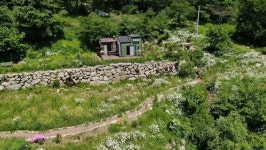 [EBS 한국기행] 경남 함양 700고지 산골 하이디 전정희 그 여자의 꽃밭