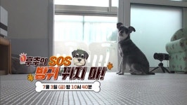 [세상에 나쁜 개는 없다] 설채현도 눈물 흘린 시각 장애견 후추…솔루션은?