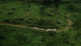 [EBS 한국기행] 야외에서 하룻밤…전남 고흥 채진희·최재앙 부부, 언덕에서 찾은 행복