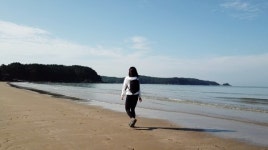 [아주 각별한 기행] 태안 바라길, 학암포~신두리 해안사구 12km 여정…김섬주의 로드테라피