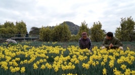 [아주 각별한 기행] 거제 8경 공곶이 만든 강명식(91)·지상악(87) 노부부