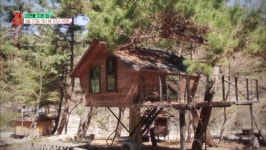 [EBS 건축탐구-집] 함양 카메라타 & 홍천 트리하우스…자연愛 지은 집