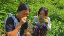 [EBS 한국기행] 장수군 지영·하영 자매, 아버지 숲으로…민박집 꾸미고 친환경 농법