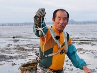 [EBS 바닷가 사람들] 갯벌이 품은 황금! 신안 압해도 낙지잡이 현장…별미 음식까지