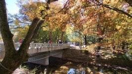 [영상앨범 산] 가수 인순이, 속리산 국립공원 산행…문장대·신선대 거쳐 세심정까지