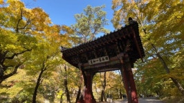 [영상앨범 산] 가수 인순이, 속리산 국립공원 산행…문장대·신선대 거쳐 세심정까지