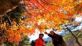 [영상앨범 산] 계절 잇는 징검다리, 문경 주흘산…러너 안정은, 문경새재길서 주봉까지