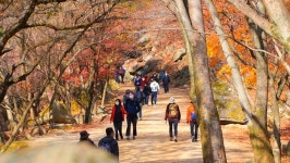 [영상앨범 산] 계절 잇는 징검다리, 문경 주흘산…러너 안정은, 문경새재길서 주봉까지