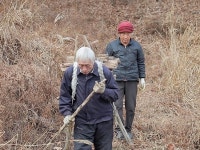 [EBS 한국기행] 오지의 겨울…청주 진사골 호숫가 외딴집 김이웅·김희순 부부 일상