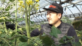[인간극장] 영덕 동네사위 장서방 장영탁 씨…귀촌 10년 도시 남자 굴러온 복덩이