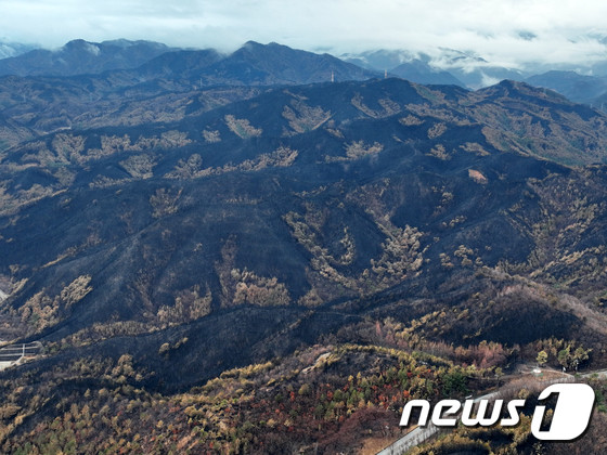 2023년 10월 한국 산불로 인한 피해, 기업들 지역 복구 지원 속속 성금 및 자원봉사 활동 확대
