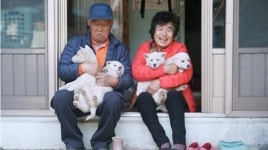 [TV 동물농장] 시골 노부부의 동물 사랑 힐링 슬로우 라이프 