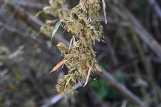 [오늘의 지자체] 청송군