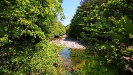 [영상앨범 산]  때 묻지 않은 자연이 숨 쉬는 곳 인제 방태산 