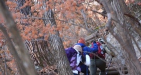 [영상앨범 산] 은빛 산에 흐르는 노래 – 월악산 국립공원