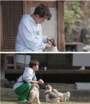 [SBS TV동물농장] 여덟 마리 시츄들과 펫 시터 토니의 좌충우돌 1박 2일