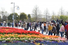 전남 축제물결 ... 순천만정원박람회·함평나비축제·보성세계차엑스포 등 풍성