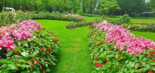 꽃 속의 도시, 순천 정원박람회 칸나, 백합, 버들마편초 등 만개