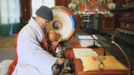 [한국기행] 천년고찰 신안사 맥산 스님의 특별한 친구 기묘(猫)한 동거 -네가 있어 참 좋다 1부