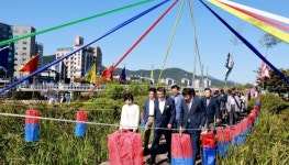 보령시, 보령의 안녕을 기원하며... 만세보령문화제 '한내돌다리 밟기' 행사 진행