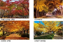 [주말 단풍 산책] 서울 단풍이 아름다운 곳...'서울 단풍길 103선' 선정