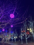 거제시, 빛으로 물드는 독봉산웰빙공원 야간경관 조성하다