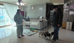 [세상에 나쁜 개는 없다] 싸움판이 돼버린 집, 만두의 질투 때문?!