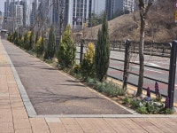 파주시, 운정동 안전한 통학 환경 제공 위한 자녀안심그린숲조성