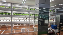 [농업 이야기] 스마트팜, 농업의 미래인가 환상인가?