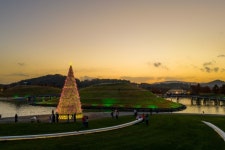 [지자체 포커스] 순천, 산타가든 콘셉트로 조성된 순천만국가정원 소개