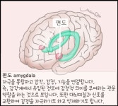 왜 나쁜 일은 오래 기억하는 걸까?
