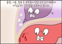 지방간이 왜 안 좋다는 거죠?